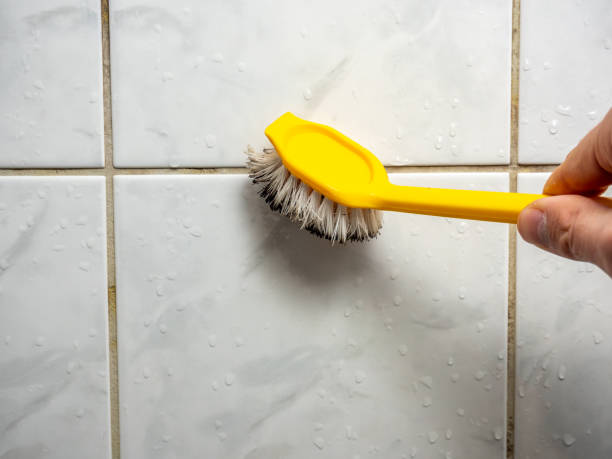 Mold Removal and Inspection in Bellville, TX