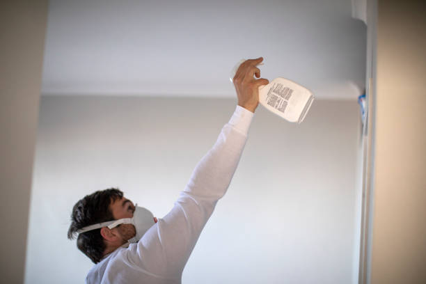 Best Fast Mold Removal  in Bellville, TX