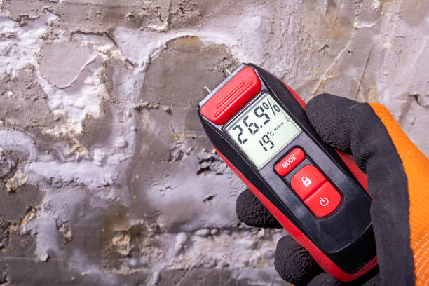 Best Residential Mold Removal  in Bellville, TX
